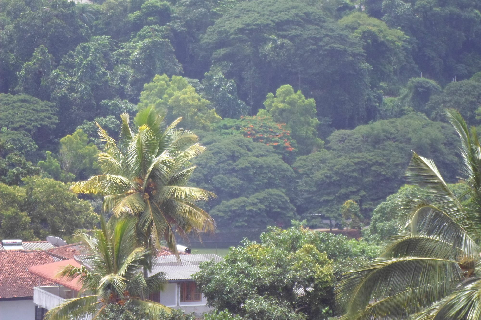 Hotel King Of Kandy Exterior foto